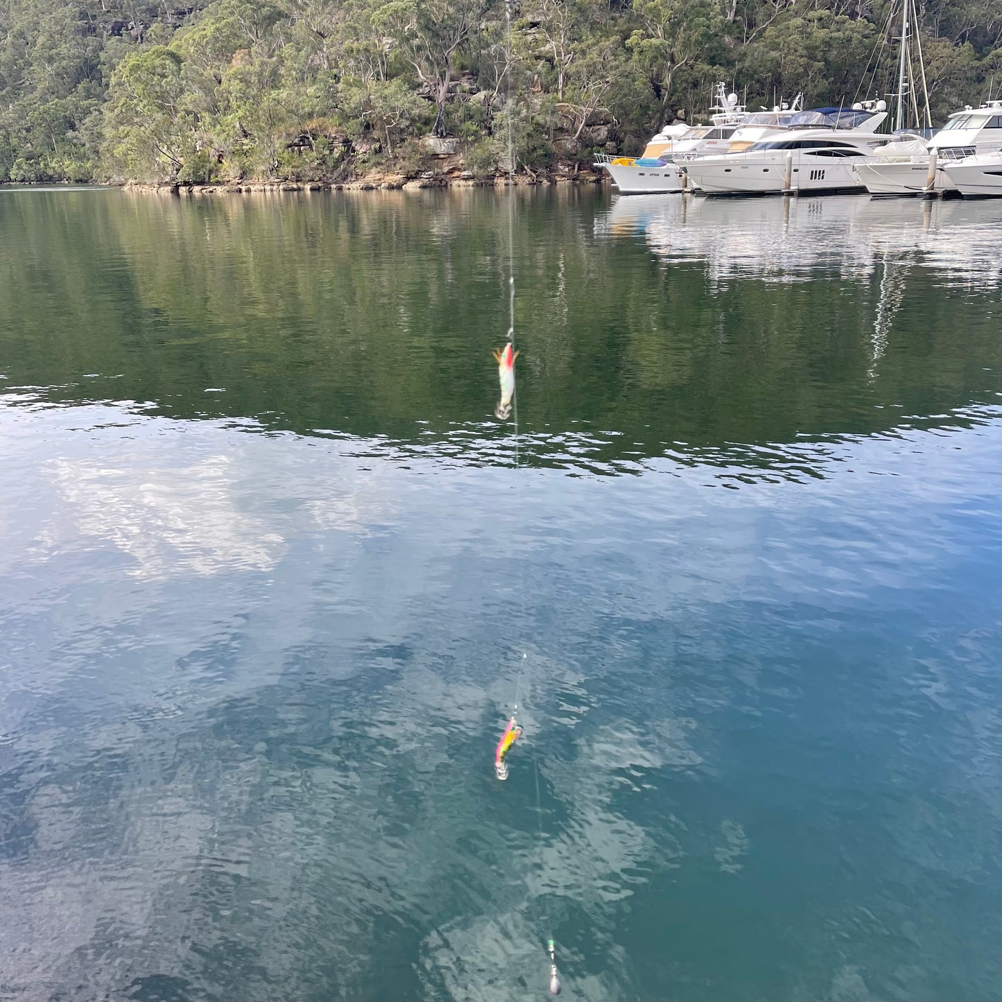 Squidink Rigs Buy 2 Get 1 Free